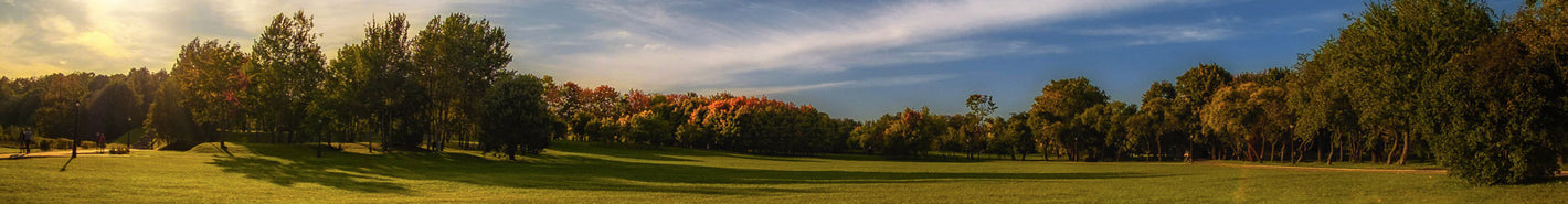 19”  Tabletop Gas Griddle